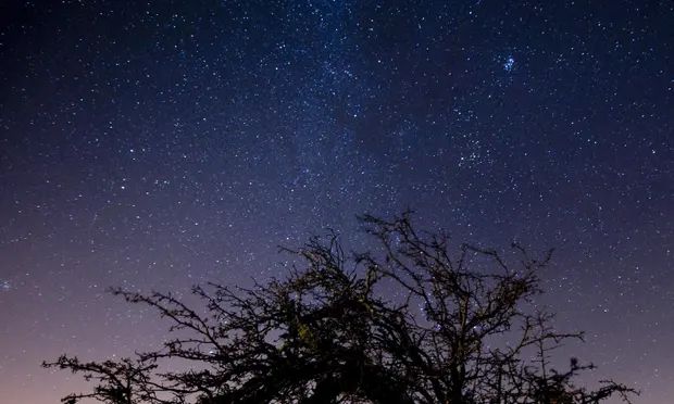 COMPANIES' PLANS FOR SATELLITE CONSTELLATIONS 'PUT NIGHT SKY AT RISK' 