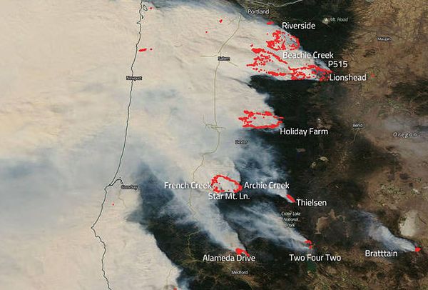 NASA'S AQUA SATELLITE CAPTURES DEVASTATING WILDFIRES IN OREGON