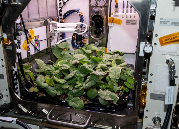 NASA SPACE STATION ON-ORBIT STATUS 1 DECEMBER 2020 - CARGO RESUPPLY PREPARATIONS