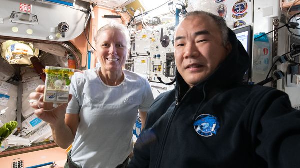 SCIENCE SPEEDS UP ON STATION, NEXT CREW TRAINS FOR LAUNCH