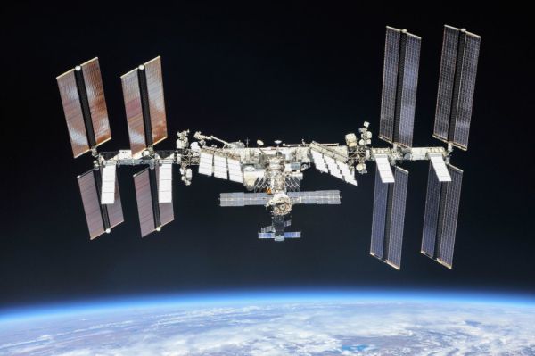 SPACEX CARGO MISSION TO CARRY WATER BEARS, BABY SQUIDS TO SPACE STATION