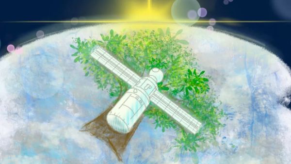 JAPAN HAS A WILD IDEA TO LAUNCH A SATELLITE MADE OF WOOD IN 2024