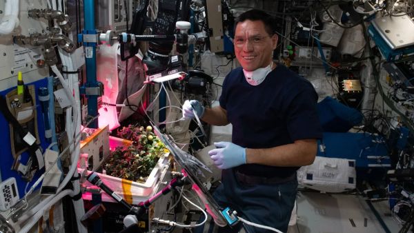 TOMATO LOST IN SPACE BY HISTORY-MAKING ASTRONAUT HAS BEEN FOUND
